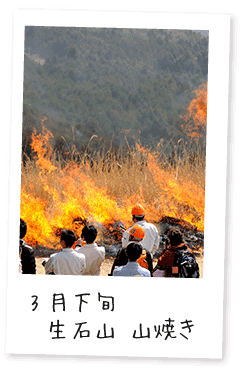 紀美野町イベントカレンダー・生石山 山焼き