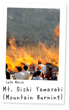 紀美野町イベントカレンダー・오이시산 마른풀의 태우기